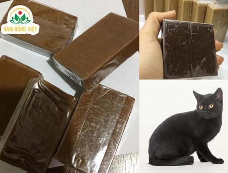 Tác dụng cao mèo đen khi ngâm rượu