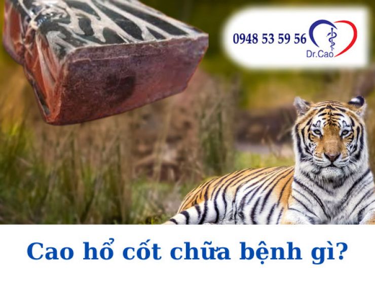 Cao hổ cốt chữa bệnh gì?
