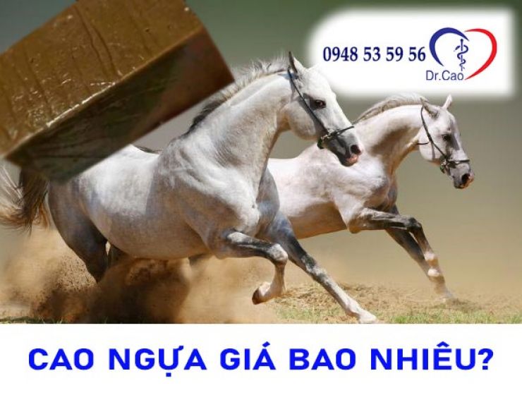 Tìm hiểu cao ngựa giá bao nhiêu tiền mua hợp lý nhất