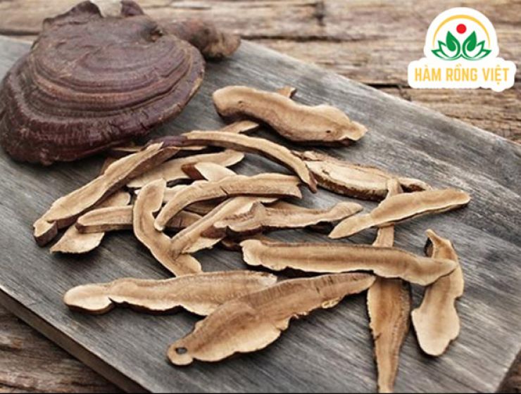 Công dụng của Cao Linh Chi cho người lớn tuổi như thế nào?